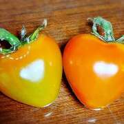 ヒメ日記 2025/06/16 18:24 投稿 柚木千草 五十路マダム宇都宮店(カサブランカグループ)