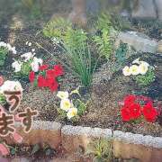 ヒメ日記 2025/06/21 10:02 投稿 柚木千草 五十路マダム宇都宮店(カサブランカグループ)