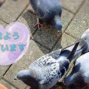 ヒメ日記 2025/07/01 11:18 投稿 柚木千草 五十路マダム宇都宮店(カサブランカグループ)