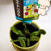 ヒメ日記 2025/07/03 16:00 投稿 柚木千草 五十路マダム宇都宮店(カサブランカグループ)