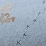 ヒメ日記 2025/07/04 11:22 投稿 柚木千草 五十路マダム宇都宮店(カサブランカグループ)