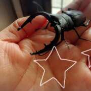 ヒメ日記 2025/07/25 22:46 投稿 柚木千草 五十路マダム宇都宮店(カサブランカグループ)