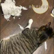 ヒメ日記 2025/08/03 21:54 投稿 柚木千草 五十路マダム宇都宮店(カサブランカグループ)