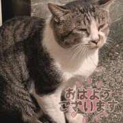 ヒメ日記 2025/08/16 09:28 投稿 柚木千草 五十路マダム宇都宮店(カサブランカグループ)