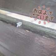 ヒメ日記 2025/08/29 09:34 投稿 柚木千草 五十路マダム宇都宮店(カサブランカグループ)