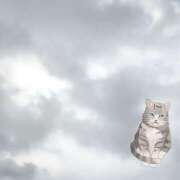 ヒメ日記 2025/09/17 18:16 投稿 柚木千草 五十路マダム宇都宮店(カサブランカグループ)