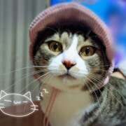 ヒメ日記 2026/01/31 22:08 投稿 柚木千草 五十路マダム宇都宮店(カサブランカグループ)