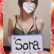 ヒメ日記 2025/11/17 19:25 投稿 そら MIKADO