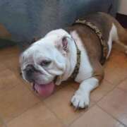 しのぶ 月に一度の💋 熟女の風俗最終章 沼津店