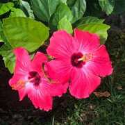 ヒメ日記 2025/06/14 10:15 投稿 しぐれ セクシーキャット 小田原店