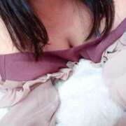 ヒメ日記 2025/11/29 12:11 投稿 しぐれ セクシーキャット 小田原店