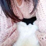 ヒメ日記 2026/03/27 09:19 投稿 しぐれ セクシーキャット 小田原店