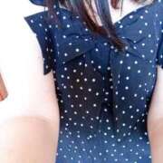 ヒメ日記 2026/04/03 14:50 投稿 しぐれ セクシーキャット 小田原店