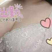 ヒメ日記 2025/11/27 15:09 投稿 ゆき 西川口ちゃんこ