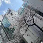 ヒメ日記 2026/03/27 15:17 投稿 かおり Lounge Yoki東京