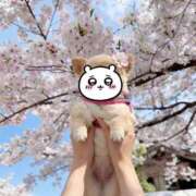 ヒメ日記 2026/04/01 07:17 投稿 かおり Lounge Yoki東京