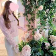 ヒメ日記 2026/04/09 17:27 投稿 かおり Lounge Yoki東京