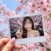 ヒメ日記 2026/04/17 12:07 投稿 かおり Lounge Yoki東京