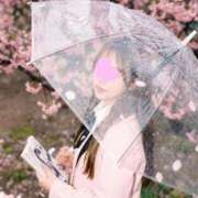 ヒメ日記 2026/04/18 17:37 投稿 かおり Lounge Yoki東京