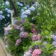 ヒメ日記 2025/07/01 00:50 投稿 りり 制服向上委員会