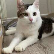 ヒメ日記 2025/05/17 19:44 投稿 月緒 西川口前立腺研究所