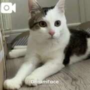 ヒメ日記 2025/05/22 20:14 投稿 月緒 西川口前立腺研究所