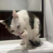 ヒメ日記 2026/03/29 17:14 投稿 月緒 西川口前立腺研究所