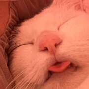 ヒメ日記 2026/04/04 18:44 投稿 月緒 西川口前立腺研究所