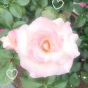 ヒメ日記 2025/05/24 18:48 投稿 セナ LOVE横浜店(Iグループ)