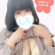 ヒメ日記 2025/04/17 16:20 投稿 しろ 恋のうた