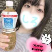 ヒメ日記 2025/04/17 22:13 投稿 しろ 恋のうた