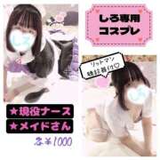 ヒメ日記 2025/04/22 22:46 投稿 しろ 恋のうた