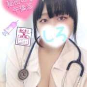 ヒメ日記 2025/04/25 11:19 投稿 しろ 恋のうた