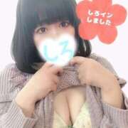 ヒメ日記 2025/04/25 14:52 投稿 しろ 恋のうた