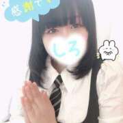 ヒメ日記 2025/04/26 01:08 投稿 しろ 恋のうた