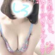 ヒメ日記 2025/04/26 23:06 投稿 しろ 恋のうた