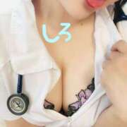 ヒメ日記 2025/05/07 14:29 投稿 しろ 恋のうた