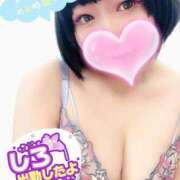 ヒメ日記 2025/05/08 17:16 投稿 しろ 恋のうた