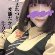 ヒメ日記 2025/05/23 11:58 投稿 しろ 恋のうた