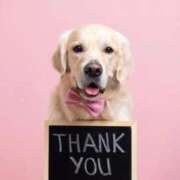 ヒメ日記 2025/11/17 00:59 投稿 山下　あやめ 寝取り×制服 義理義理な女学園