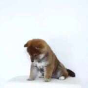 ヒメ日記 2025/12/15 22:09 投稿 山下　あやめ 寝取り×制服 義理義理な女学園