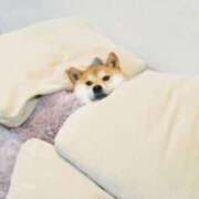 ヒメ日記 2026/01/14 07:29 投稿 山下　あやめ 寝取り×制服 義理義理な女学園