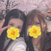 ヒメ日記 2026/04/12 07:17 投稿 悶-もん【FG系列】 ほんつま千葉店（FG系列）