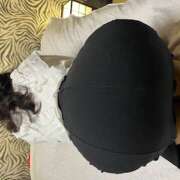 ヒメ日記 2025/09/27 14:36 投稿 結城 おふくろ