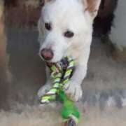 ヒメ日記 2025/05/04 12:55 投稿 るみ 素人妻御奉仕倶楽部Hip's取手店