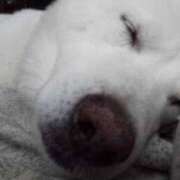 ヒメ日記 2025/10/13 12:41 投稿 るみ 素人妻御奉仕倶楽部Hip's取手店