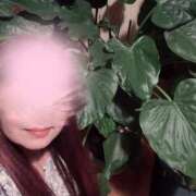 ヒメ日記 2025/04/28 17:20 投稿 今泉なのは 五十路マダム静岡店（カサブランカG）