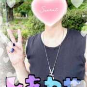 ヒメ日記 2025/04/17 14:18 投稿 石橋(いしばし) 八王子人妻城