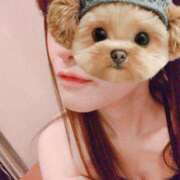 ヒメ日記 2025/04/29 14:04 投稿 アマネ ルパン