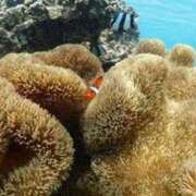 ヒメ日記 2025/05/31 21:12 投稿 アマネ ルパン